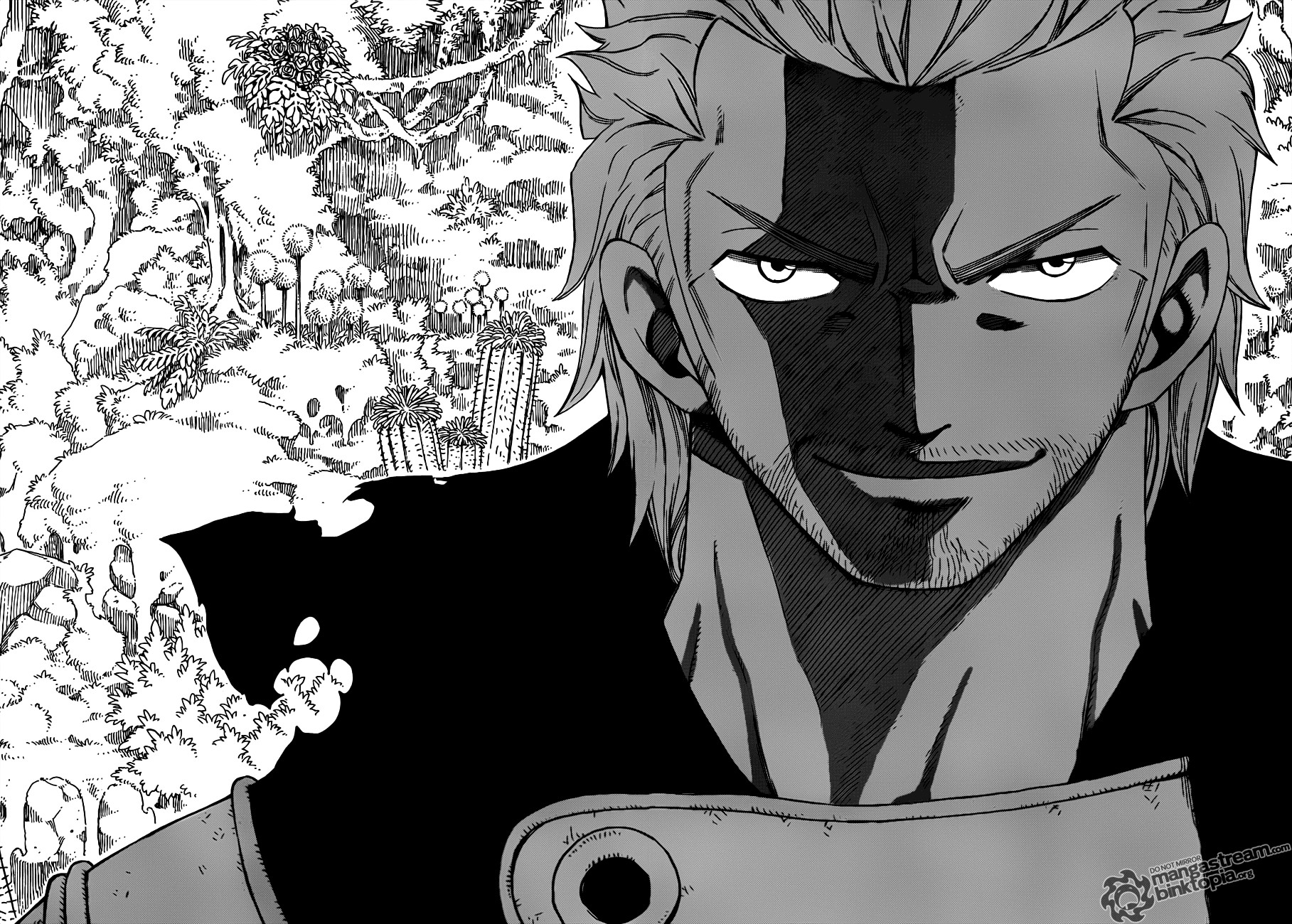 Fairy Tail Chapter 204 19